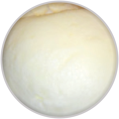 Παγωτό Ινδοκάρυδο (Coconut)