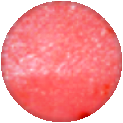 Παγωτό Φράουλα (Strawberry Sorbet)