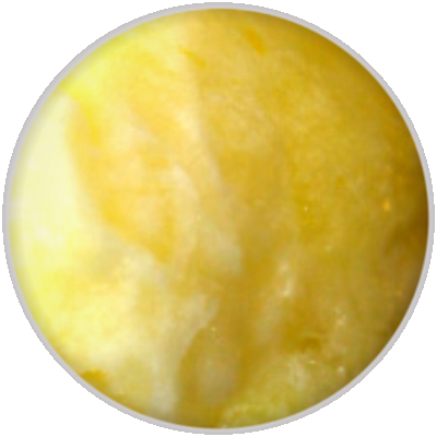 Παγωτό Λεμόνι (Lemon Sorbet)